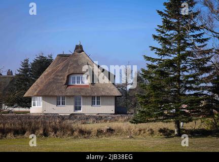 Wyk, Deutschland. 04. März 2022. Ein neues Reethaus steht in einer Siedlung nahe dem Golf Club Föhr und dem Flugplatz Wyk am Greveling Strand zwischen Nieblum und Wyk auf der Nordseeinsel Föhr. Quelle: Christian Charisius/dpa/Alamy Live News Stockfoto