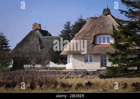 Wyk, Deutschland. 04. März 2022. Ein neues Reethaus (r) steht in einer Siedlung nahe dem Golf Club Föhr und dem Flugplatz Wyk am Greveling Strand zwischen Nieblum und Wyk auf der Nordseeinsel Föhr. Quelle: Christian Charisius/dpa/Alamy Live News Stockfoto