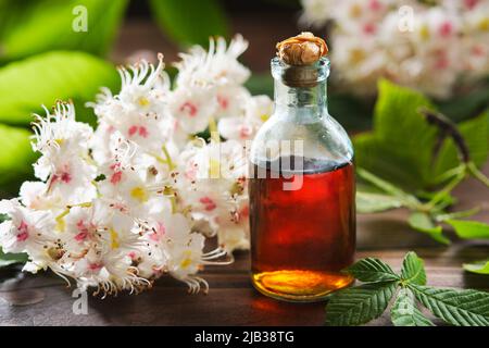 Flasche Aufguss oder Blütentinktur und Kastanienblätter. Blühende Rosskastanienzweige und grüne Frühlingsblätter. Alternative Kräutertee Stockfoto