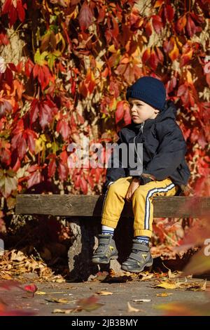 Einsamer netter Junge, der auf einer Bank vor einem Hintergrund leuchtend roter Herbstblätter sitzt. Stockfoto