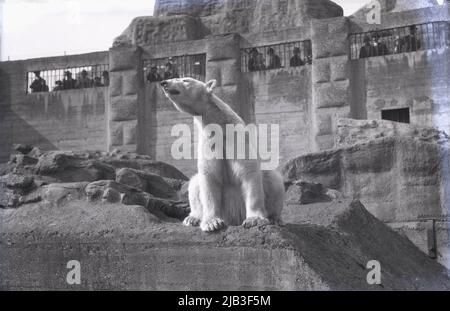 1929, historischer Eisbär 'Sam', der auf einem Felsvorsprung in seinem Gehege im London Zoo, London, England, Großbritannien, sitzt, mit Besuchern, die von oben nach unten schauen. Das Bärengehege im ZSL stammt aus dem Jahr 1910 und war eine wichtige Besucherattraktion im Zoo, bis es 1985 geschlossen wurde. Stockfoto