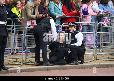 London, Großbritannien, 2.. Juni 2022, Trooping the Color Along the Mall. Protest gegen Tierrechte beim Queens Platinum Jubilee. , Andrew Lalchan Photography/Alamy Live News Stockfoto