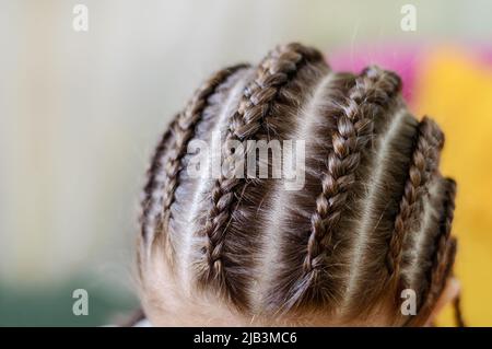 Festliche, moderne Frisur mit vielen kleinen geflochtenen Zöpfen. Struktur von Zöpfen. Nahaufnahme, selektiver Fokus Stockfoto