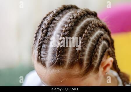 Mädchen mit vielen kleinen Zöpfen. Struktur von Zöpfen. Nahaufnahme, selektiver Fokus Stockfoto