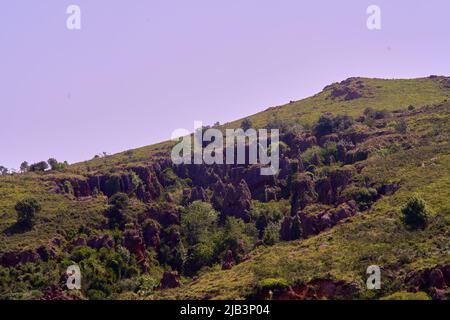 Santander, Kantabrien Spanien juli 8 2020, Blick auf den Wald im Naturpark Cabarceno Stockfoto