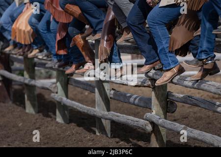 Cowboystiefel und Sporne sitzen auf dem Zaun und beobachten ein Rodeo Stockfoto