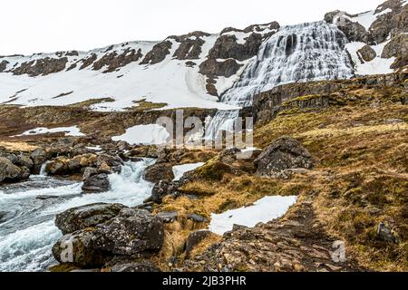 Dynjandi stürzt die Felsterrassen im Hintergrund hinab, während sein Ausfluss über dunkle Felsbrocken im Vordergrund schäumt, Westfjorde, Island. Stockfoto