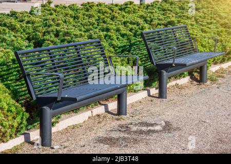 Zwei schwarze Metallbänke auf dem Bürgersteig mit grünen Kiefernbüschen. Stockfoto