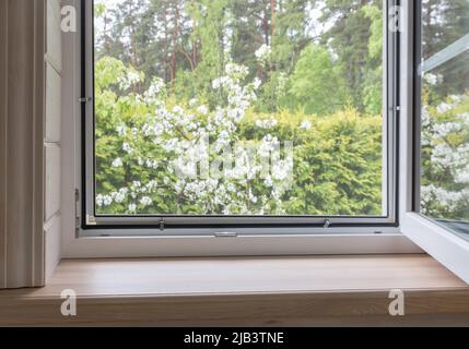 Weißes Fenster mit Mosuito-Netz in einem rustikalen Holzhaus Stockfoto