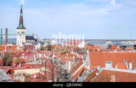 Draufsicht auf die Altstadt - der älteste Teil von Tallinn in Estland mit orangefarbenen Ziegeldächern und antiken Gebäuden Stockfoto