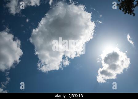 Hintergrundbeleuchtete Wolken am späten Nachmittag in North Central Florida. Stockfoto