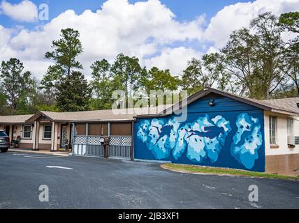 Tauchgang Wandgemälde an der Wand eines Motels in High Springs, Florida, das das Epizentrum des Höhlentauchens der Welt ist. Stockfoto