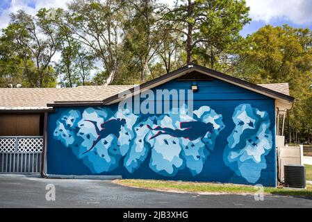Tauchgang Wandgemälde an der Wand eines Motels in High Springs, Florida, das das Epizentrum des Höhlentauchens der Welt ist. Stockfoto