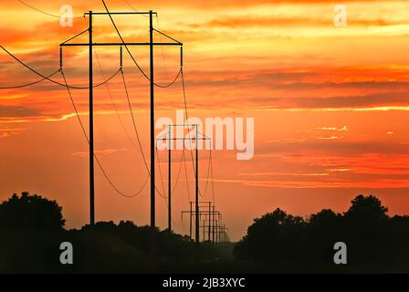 Die hölzernen Hochspannungsmasten mit H-Rahmen sind bei Sonnenuntergang am 13. Juni 2011 in Columbus, Mississippi, abgebildet. Stockfoto