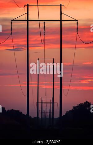 Die hölzernen Hochspannungsmasten mit H-Rahmen sind bei Sonnenuntergang am 13. Juni 2011 in Columbus, Mississippi, abgebildet. Stockfoto