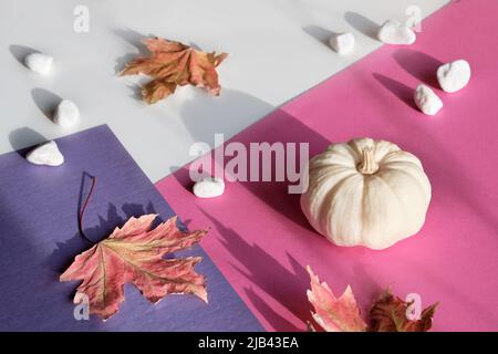 Pinkfarbenes Papier mit Hintergrund und Herbstdekor. Monochromatischer Look mit rosa Kürbissen und trockenen Herbstblättern. Stockfoto