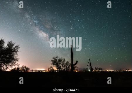 Silhouette des Saguaro Kaktus mit Milchstraße-Galaxie-Nachtsicht. Stockfoto