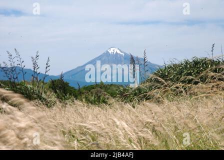 Mt Egmont Blick auf schneebedeckten Vulkan in Neuseeland Aotearoa Stockfoto