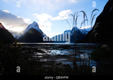 Blue Milford Sounds Blick auf das Wasser Sonnenuntergang schneebedeckter Vulkan in Südinsel von Neuseeland Aotearoa Stockfoto