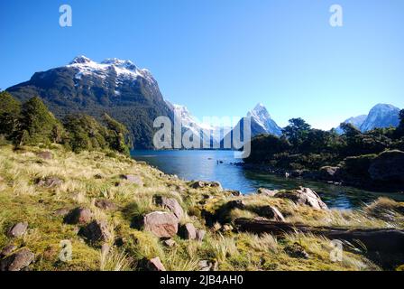 Blick auf den schneebedeckten Vulkan Milford Sounds auf der Südinsel Neuseelands, Aotearoa, auf das grasbewachsene Bergwasser Stockfoto