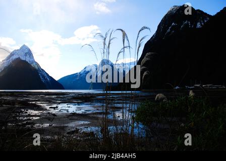 Milford Sounds Blick auf das Wasser Sonnenuntergang schneebedeckter Vulkan in Südinsel von Neuseeland Aotearoa Stockfoto