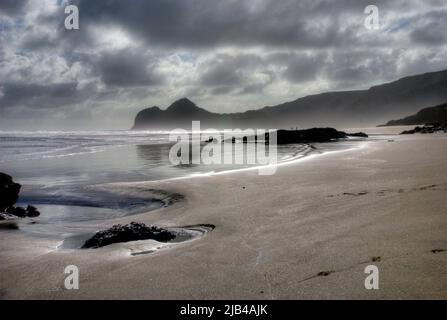 Reflexionen auf Te Henga, Bethells Beach, Waitakere, Auckland, Neuseeland Stockfoto