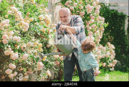 Gartenhobby. Enkel und Großvater verbringen Zeit im Obstgarten. Blumen im Garten gießen. Stockfoto