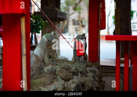 Statue Schutzfuchs am Hanazono-Schrein in Tokio Stockfoto