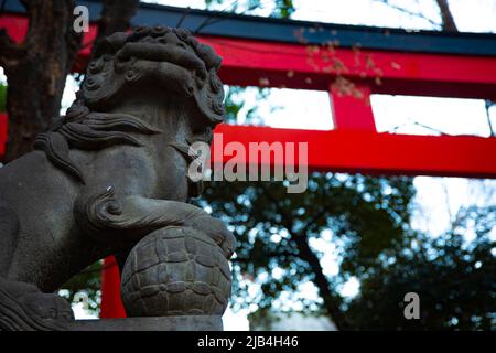 Statue Schutzhund am Hanazono-Schrein in Tokio Stockfoto