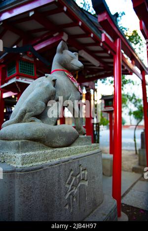 Statue Schutzfuchs am Hanazono-Schrein in Tokio Stockfoto