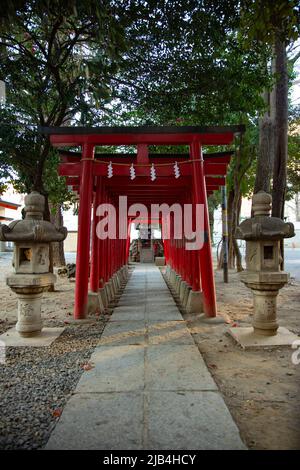 Großes religiöses Tor am Hanazono-Schrein in Tokio Stockfoto