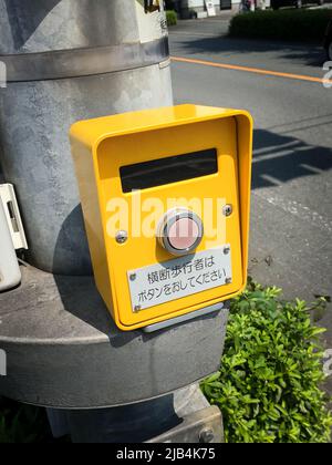 Ein gelber Ampelknopf an einer Stange für den Fußgängerüberweg, Kumamoto, Japan. Übersetzung : Bitte drücken Sie die Taste, wenn Sie Fußgängerüberweg überqueren Stockfoto