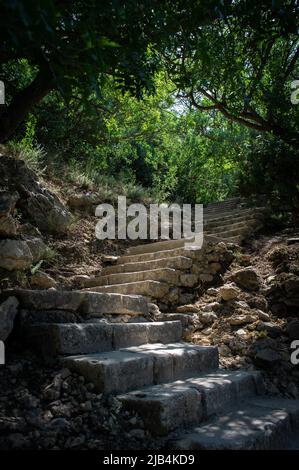 Eine Steintreppe, die ins Grün führt. Ein geheimnisvoller Pfad in den Wäldern und Felsen. Vertikales Foto. Stockfoto