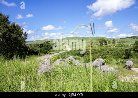 Die Landschaft des Akiyoshi-Plateaus im Akiyoshidai Kokutei Koen (Akiyoshidai quasi-Nationalpark) in der Präfektur Yamaguchi, Japan. Stockfoto