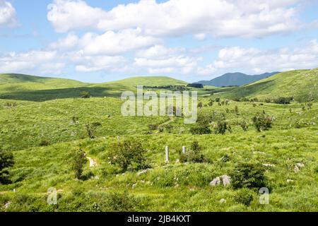 Die Landschaft des Akiyoshi-Plateaus im Akiyoshidai Kokutei Koen (Akiyoshidai quasi-Nationalpark) in der Präfektur Yamaguchi, Japan. Stockfoto