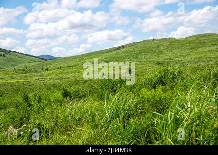 Die Landschaft des Akiyoshi-Plateaus im Akiyoshidai Kokutei Koen (Akiyoshidai quasi-Nationalpark) in der Präfektur Yamaguchi, Japan. Stockfoto