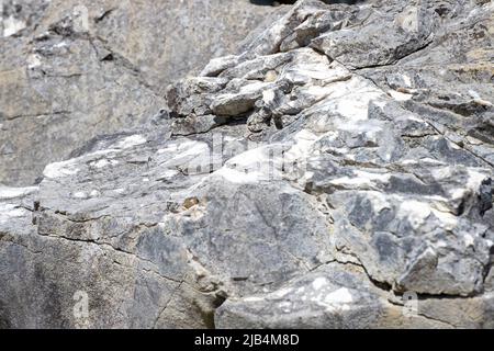 Nahaufnahme von Kalkstein im Akiyoshidai quasi-Nationalpark, Mine, Yamaguchi, JAPAN. Stockfoto