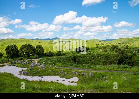 Die Landschaft des Akiyoshi-Plateaus im Akiyoshidai Kokutei Koen (Akiyoshidai quasi-Nationalpark) in der Präfektur Yamaguchi, Japan. Stockfoto