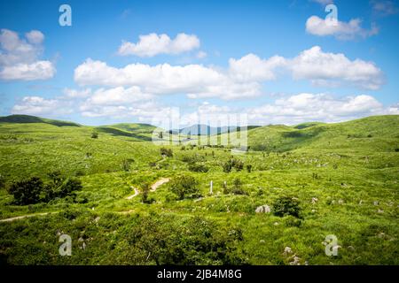 Die Landschaft des Akiyoshi-Plateaus im Akiyoshidai Kokutei Koen (Akiyoshidai quasi-Nationalpark) in der Präfektur Yamaguchi, Japan. Stockfoto