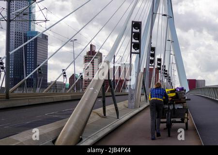 Ein Mann schiebt bei windigem Wetter sein Lastenrad über die Erasmus-Brücke in Rotterdam, Niederlande, 5/27/22 Stockfoto