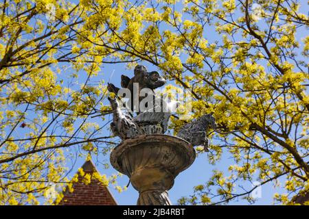 Delphinbrunnen auf dem Münsterplatz von Wolfgang Neithard, Bronzefiguren, Pferde, Ulm, Baden-Württemberg, Deutschland Stockfoto