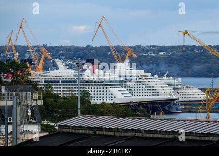 Disney Cruise Line's Disney Dream, Disney Magic und Disney Fantasy Schiffe auf der Damens Schiffsreparaturwerft im Hafen von Brest während der Corona Stockfoto