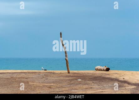 Holzmast und Treibholz am einsamen Strand, Spiaggia di Piscinas, Sardinien, Italien Stockfoto