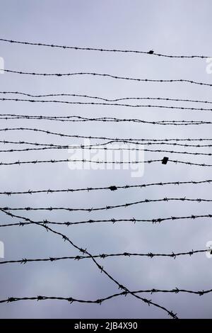 Stacheldrahtzaun an der Gedenkstätte Eiserner Vorhang am Grenzübergang Guglwald, Region Mühlviertel, Oberösterreich, Österreich Stockfoto
