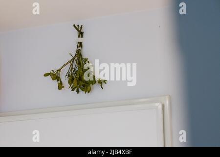 Getrockneter Zweig, der von der Tür hängt, gemeinsamer Anblick von Zweigen, die sich treffen und Menschen begrüßen, wenn sie das Haus verlassen. Stockfoto