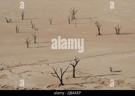 Drei Menschen in der Wüste, Dead Vlei, Sossusvlei, Namib Desert, Namib-Naukluft National Park, Hardap Region, Namibia Stockfoto