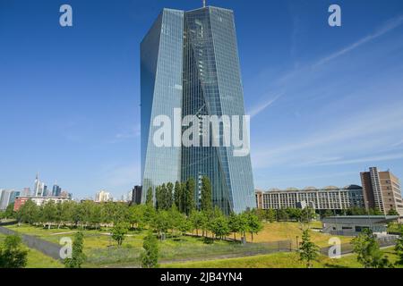 Europäische Zentralbank EZB, Hauptgebäude, Hauptsitz, Sonnemannstraße, Ostende, Frankfurt am Main, Hessen, Deutschland Stockfoto