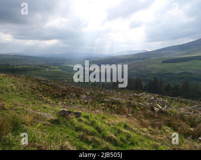 Hügelige Landschaft im Süden Irlands am Rande des Ring of Kerry. Ballaghasheen Pass, Curravaha, Kerry, Irland Stockfoto