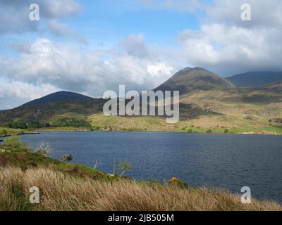 Irische hügelige Landschaft am Lough Acoose, einem Binnensee am Ring of Kerry. Lough Acoose, Curraghbeg, Kerry, Irland Stockfoto