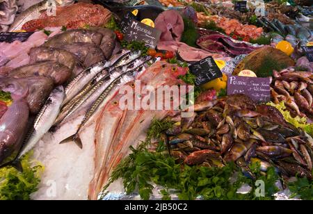 Frischer Fisch und Meeresfrüchte, Gurnard, Makrele, Marktstand, Wochenmarkt, Aix-en-Provence, Bouches-du-Rhone, Provence-Alpes-Cote d'Azur, Frankreich Stockfoto